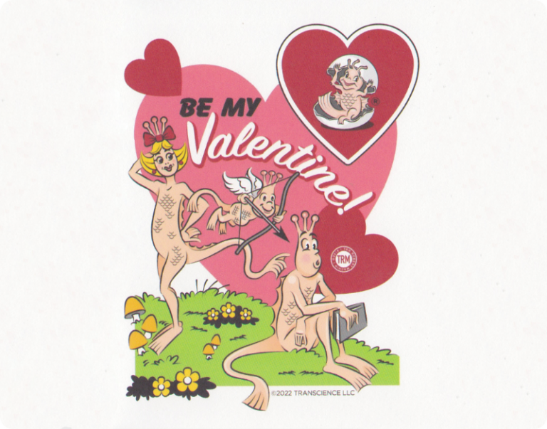 A Valentine’s Wedding